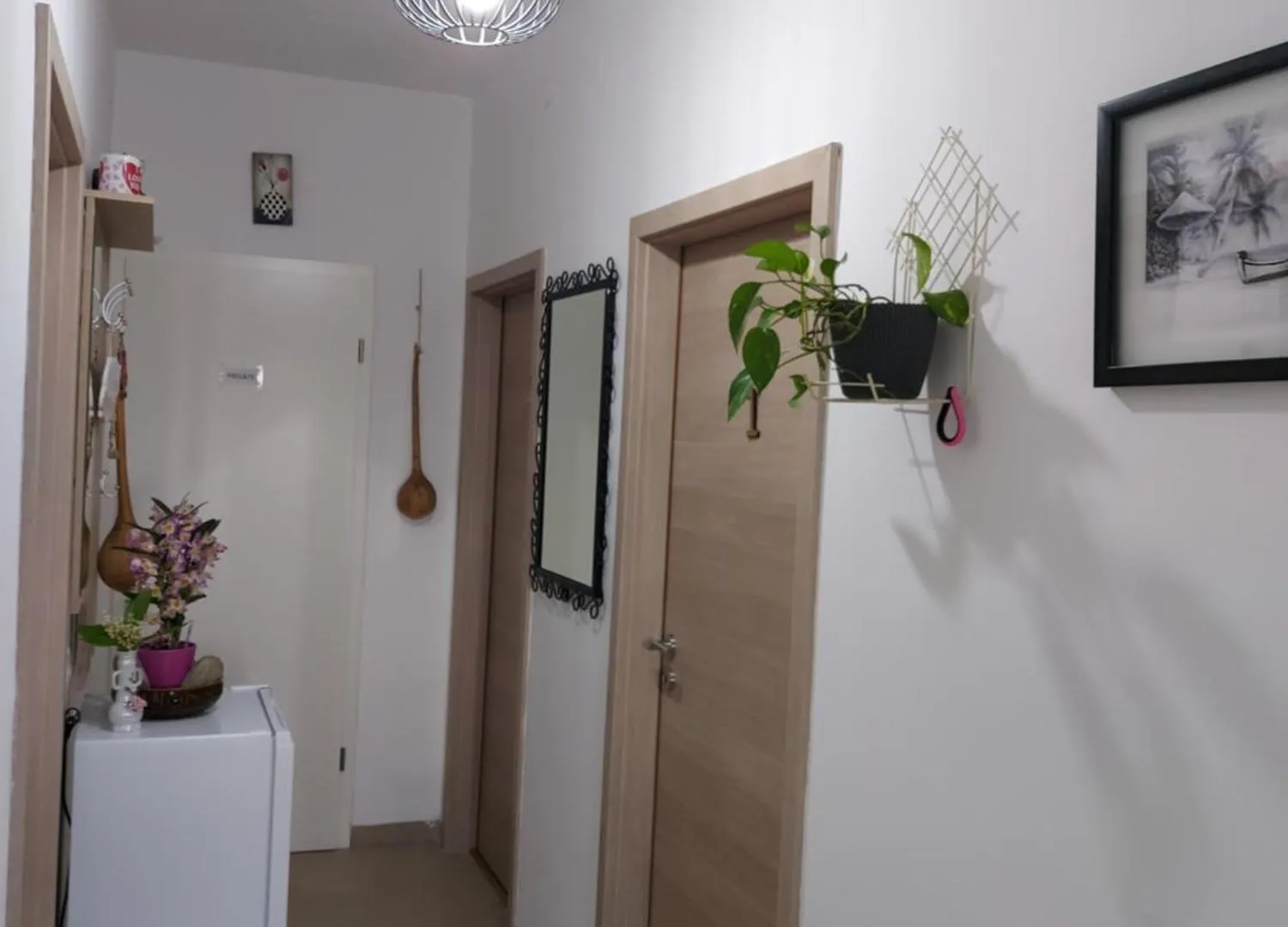 Elena Rooms Pasjak